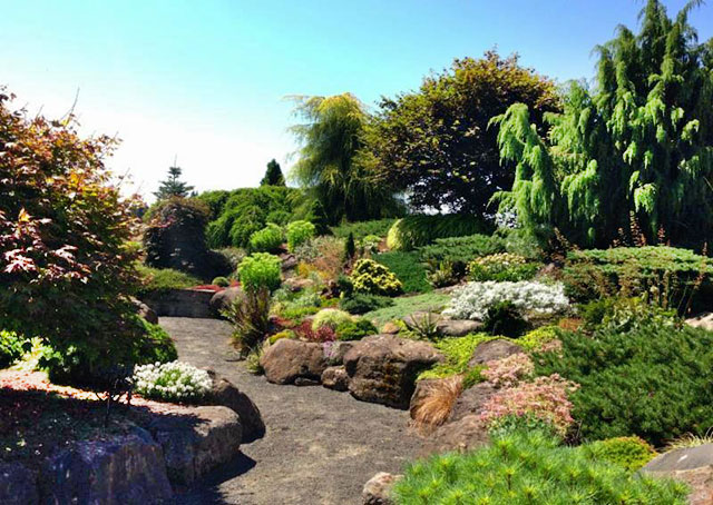 Iseli Nursery