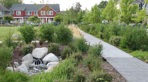 Raingarden and overflow facility captures stormwater from public sidewalk.