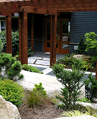 Magnolia entry garden