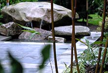 Magnolia rock&water feature