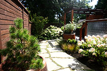 Back garden near kitchen