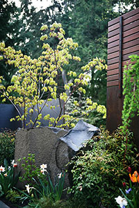 Basalt column & steel boundary for courtyard