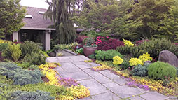 Some pavers from the existing entry walk were replaced with groundcover to soften the edges.