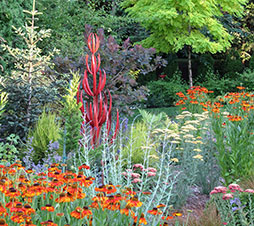 The expanded planting bed and feature sculpture beautify a plain arborvitae hedge that hides the sports court.