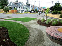 The view from the front stoop, part two: the pathway to the main street.