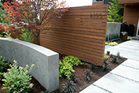 NW Nurseries owner Laura helped me select the ‘Yezo Nashiki’ Acer in place of a more typical ‘Bloodgood’. The owner loves this tree! The Bernard Trainor inspired concrete wall is seen in the foreground.