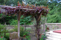 Nyce gardens edible path