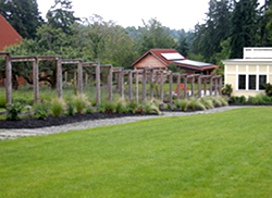 Perennials and grasses now line the walk through the gardens down to the house and barns