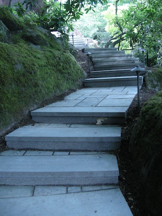 Stairway through the woods
