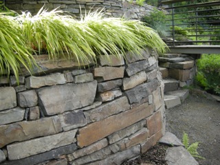 Hakonechloa m. 'Aureola' spills over the freshly built stone walls