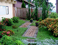 Walkway through the north Azalea and Rhododendron garden