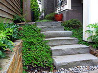 Bluestone snap edge risers connect the front yard to the utility walkway leading to the back