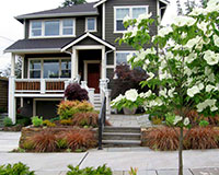 Completed front yard landscape