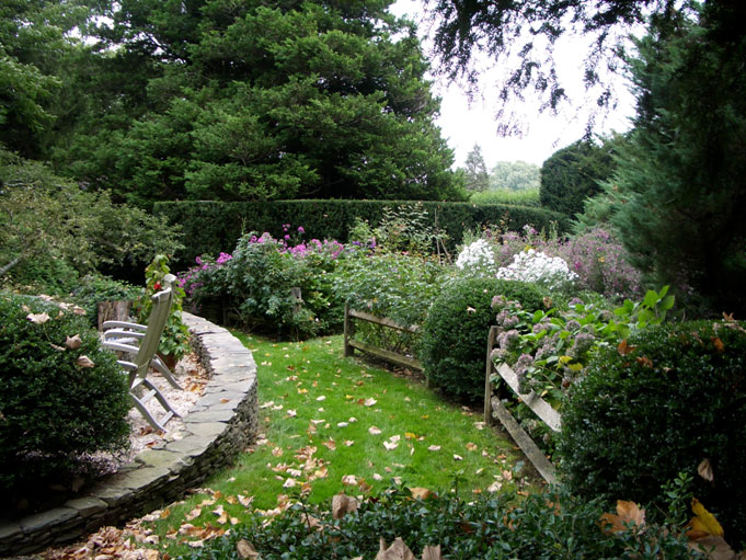 backyard landscape design, behind patio