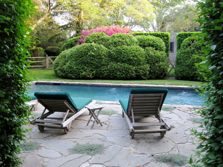 backyard landscape design, pool with pool chairs and tall ivy on both sides of entrance