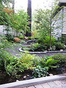 Curvaceous path manages to navigate around septic system while visually widening area